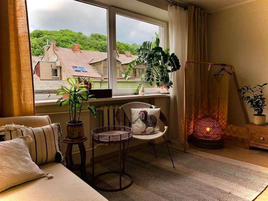 Three Bedroom With Two Terraces For 7People+Baby Kaunas Ngoại thất bức ảnh