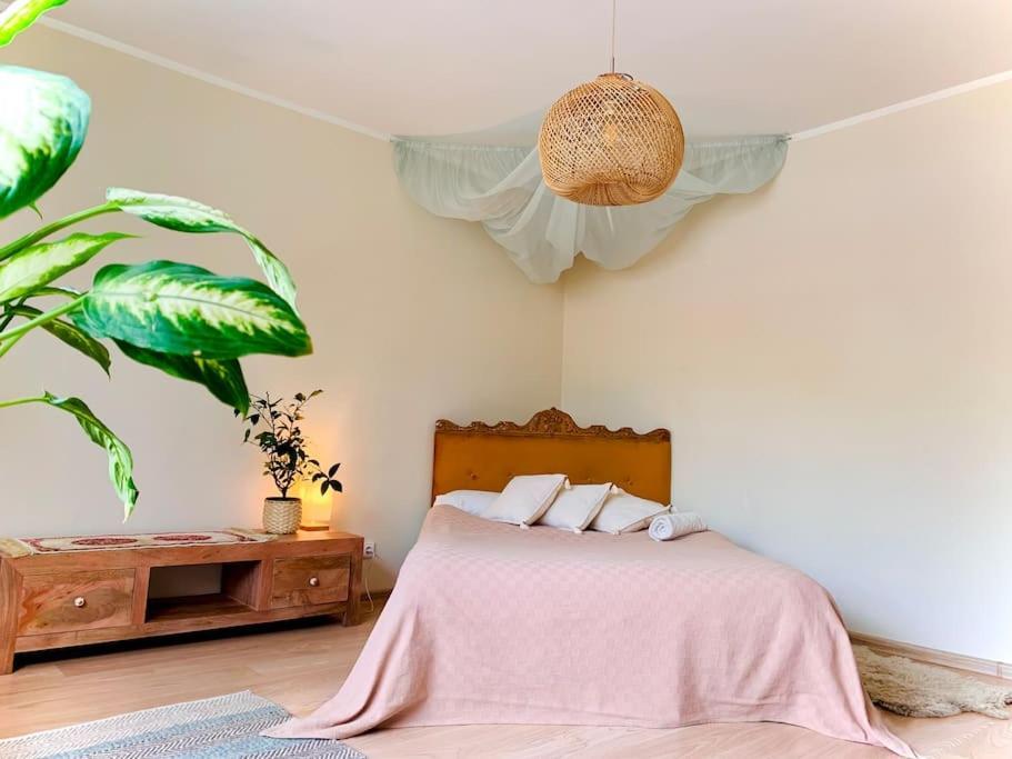 Three Bedroom With Two Terraces For 7People+Baby Kaunas Ngoại thất bức ảnh